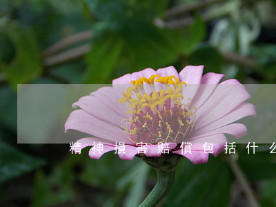 精神損害賠償包括什么？